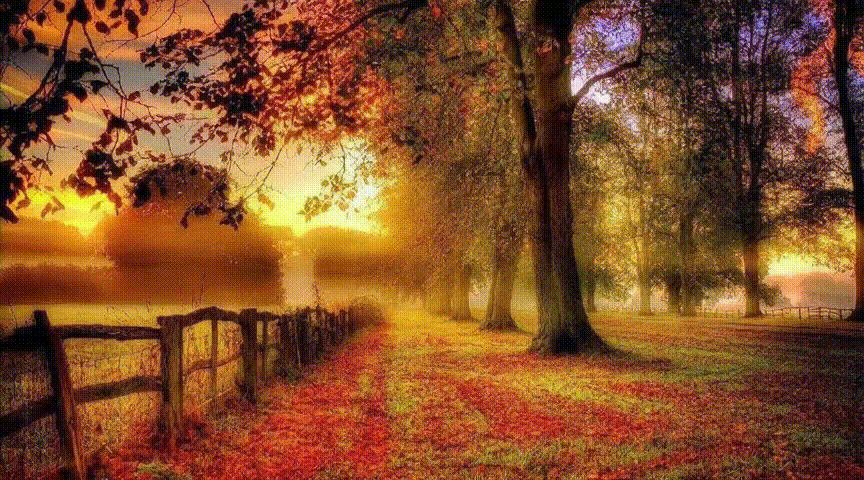 AUTUMN